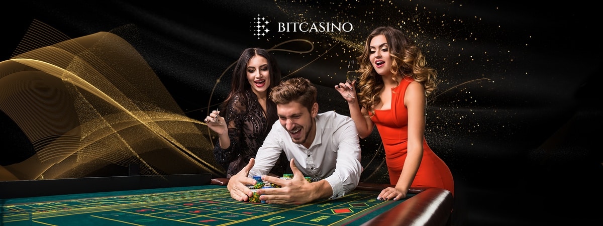The Winners Method guide: How to profit on 50–50 bets